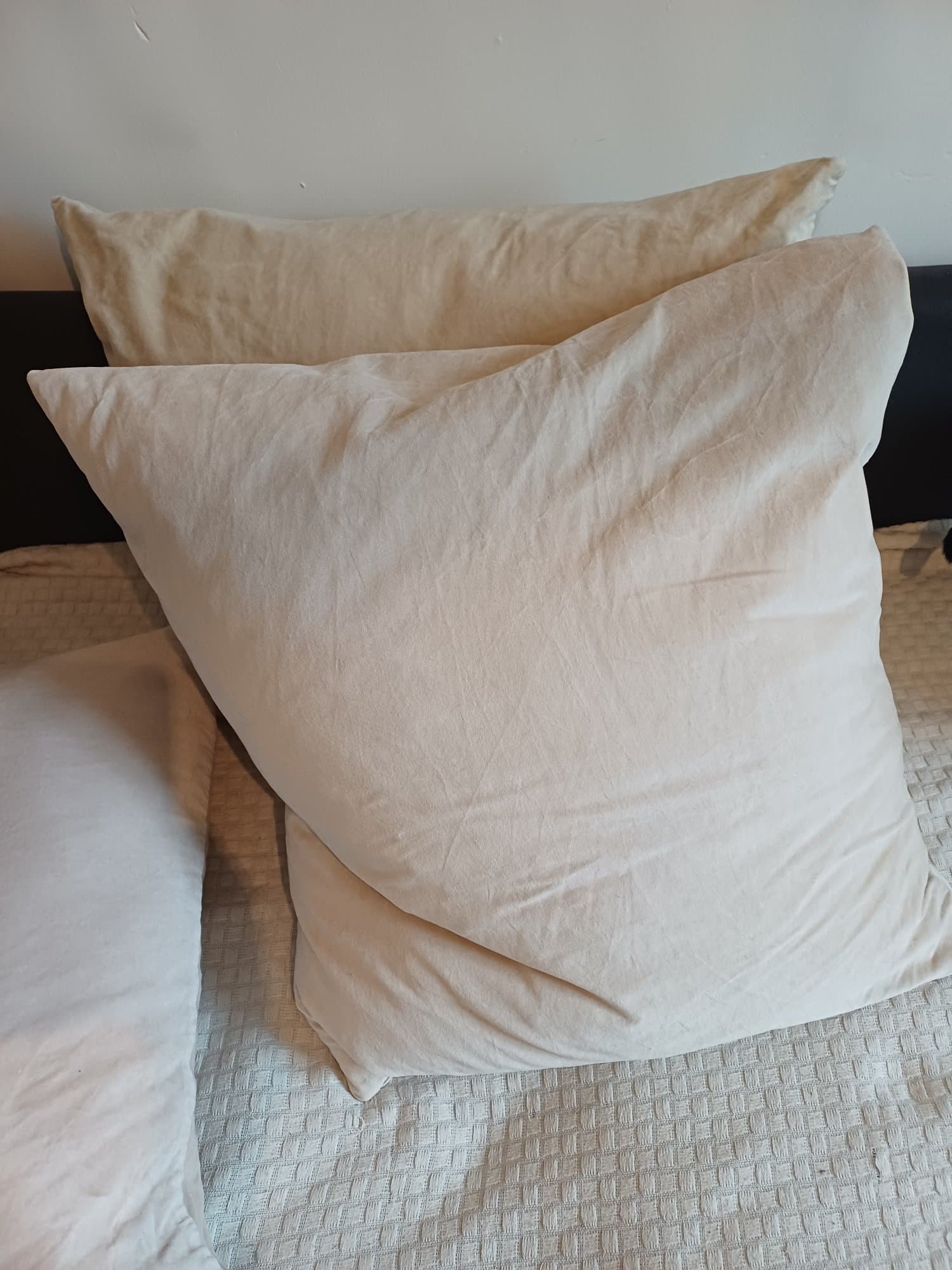 8 VOLLEDIGE KUSSENS cushion cover, light beige, 65x65 cm