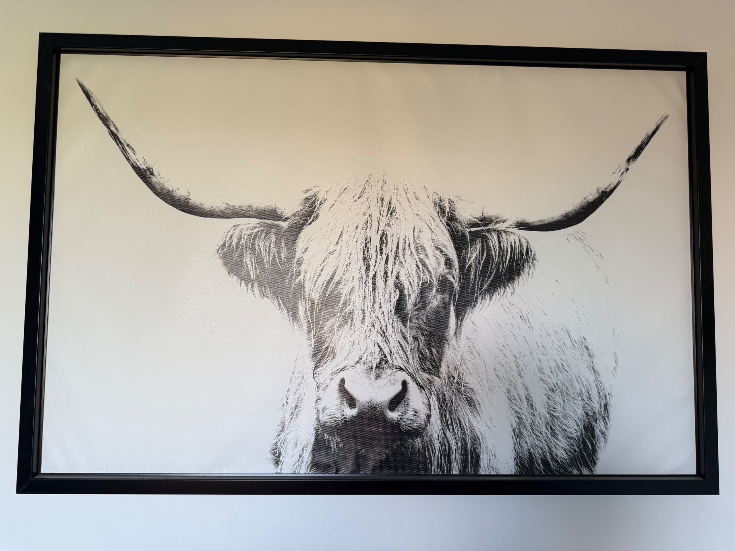 BJÖRKSTA toile, vaches à cornes