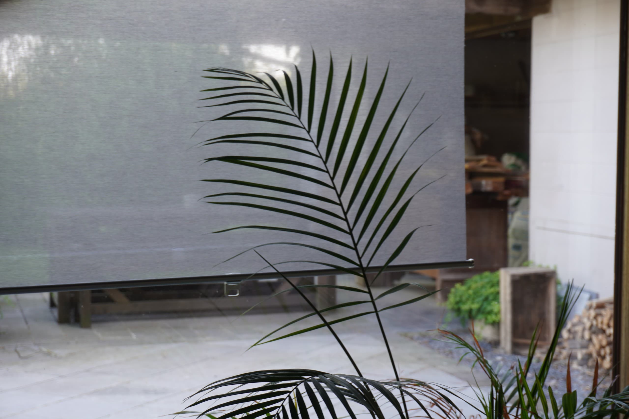 4X SKOGSKLÖVER roller blind, grey, 120x195 cm