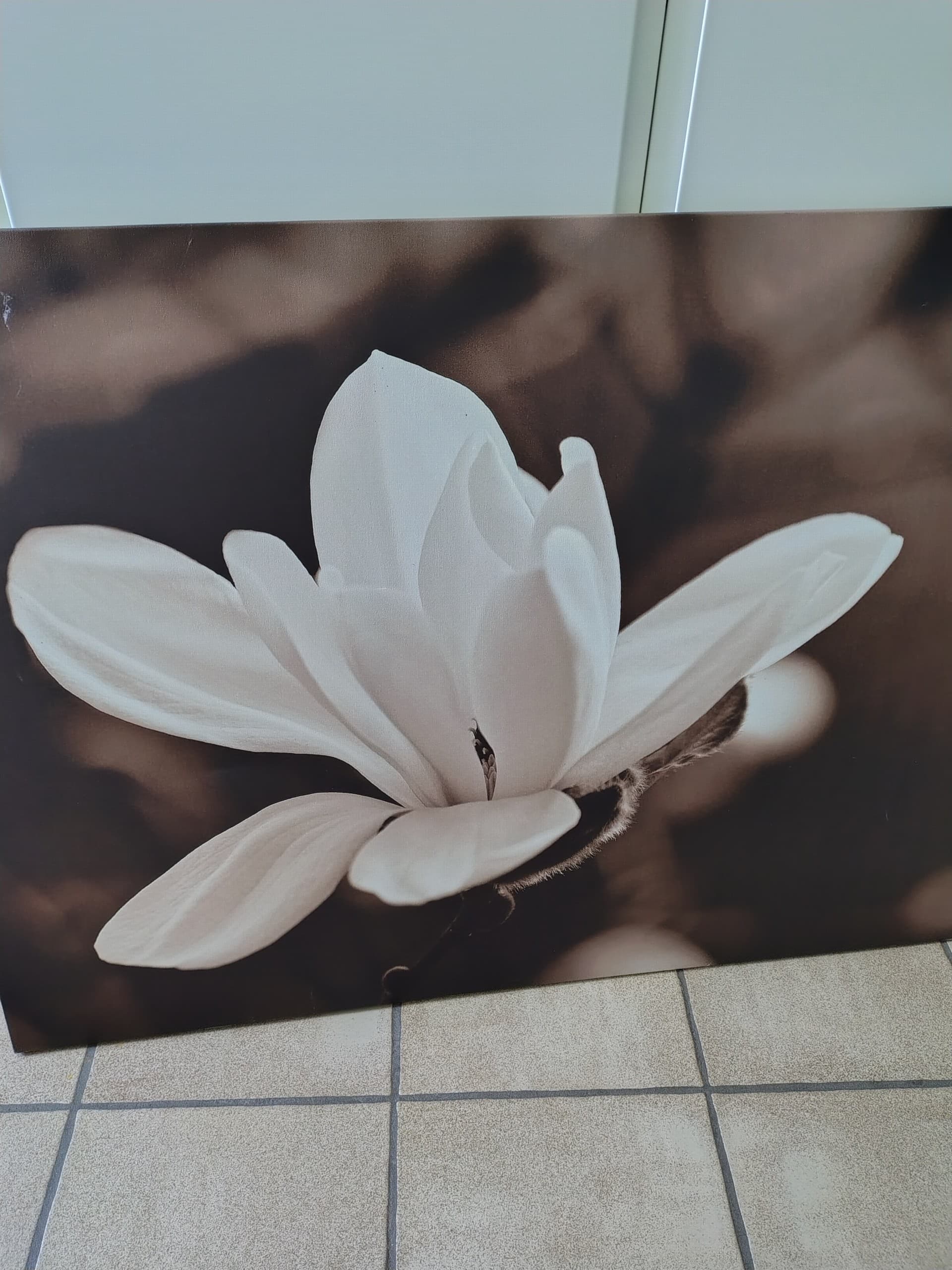 CANVAS BLOEM