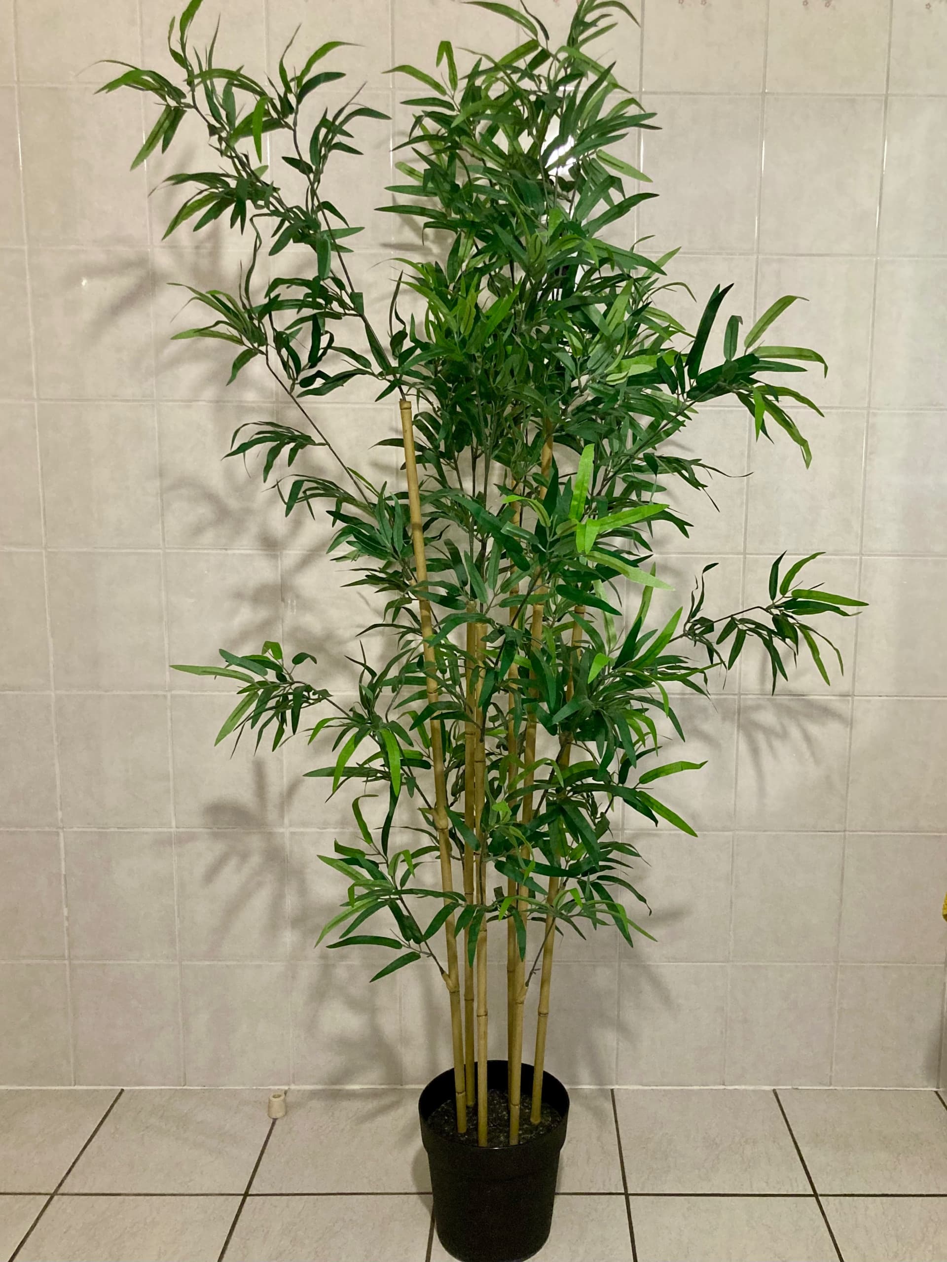 FEJKA KUNSTPLANT plante artificielle, intérieur/extérieur/bambou, 21 cm