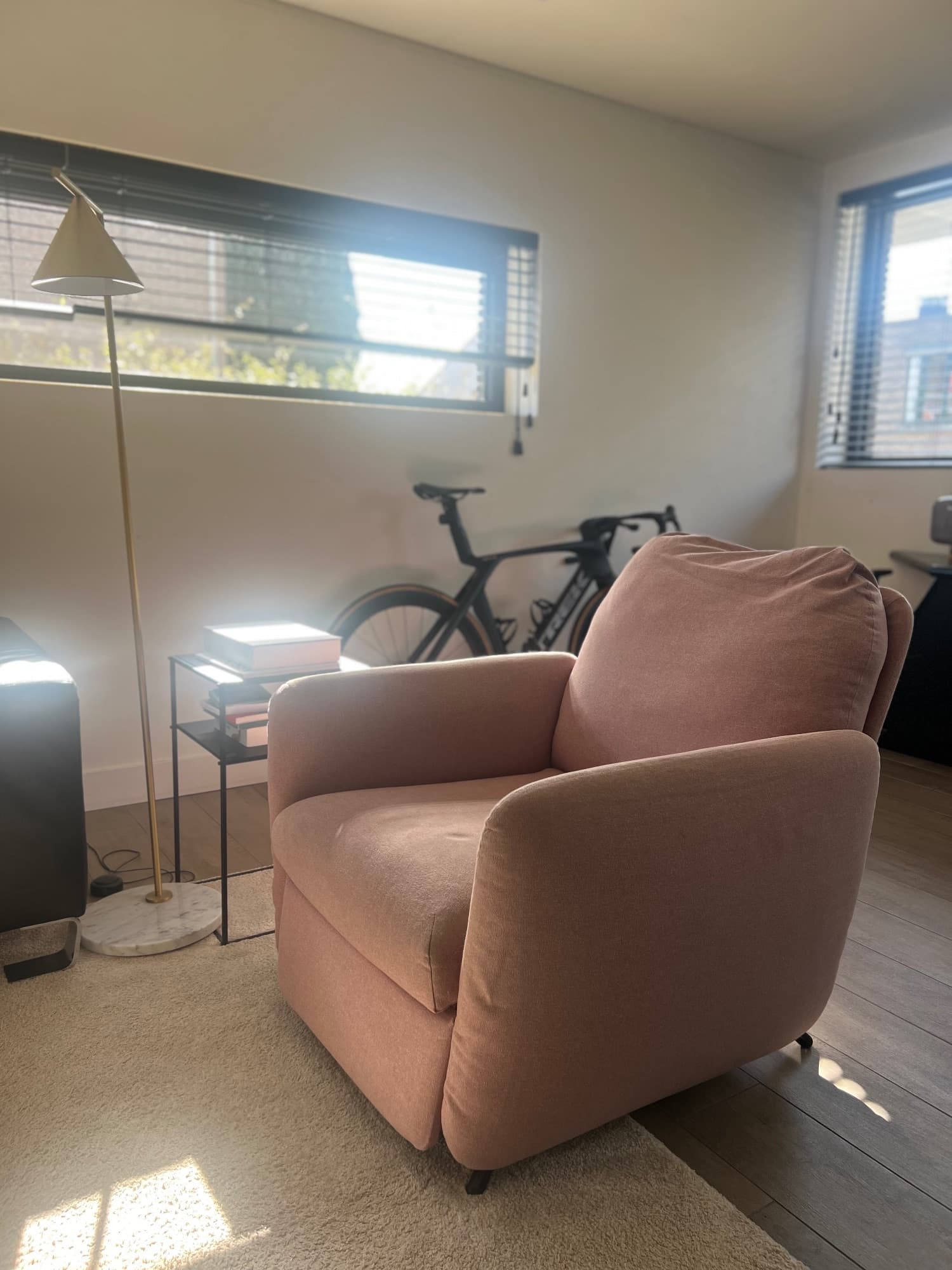 EKOLSUND: ROZE RELAX fauteuil confort, Gunnared brun-rose clair