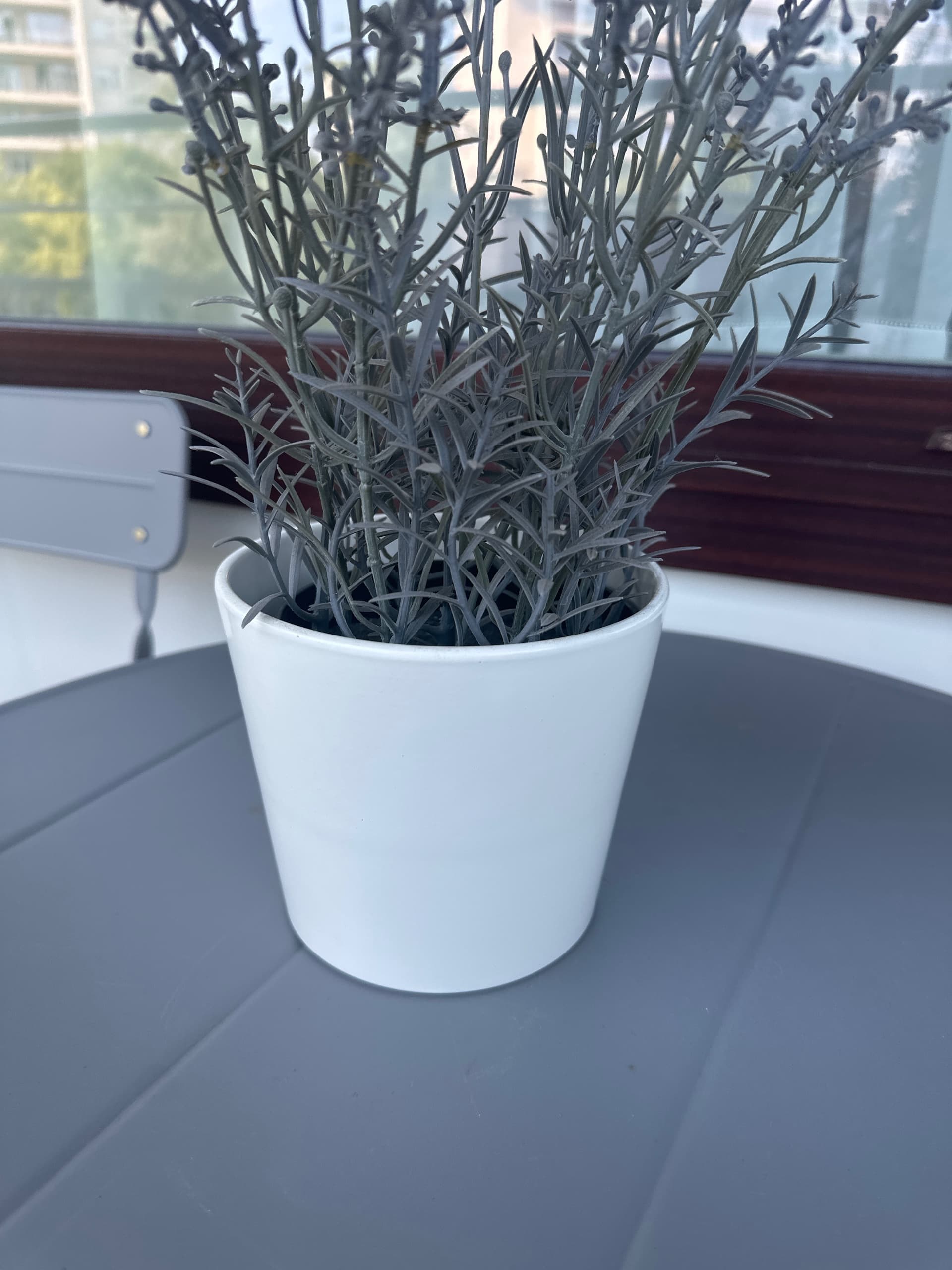 SOJABÖNA sierpot, wit, 12 cm