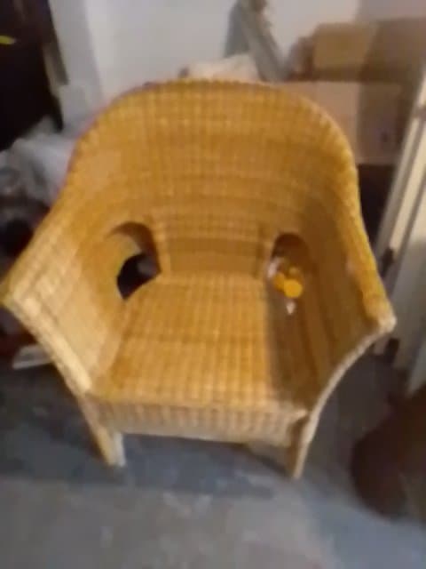 AGEN 2STUKS Fauteuil, rotan, bamboe