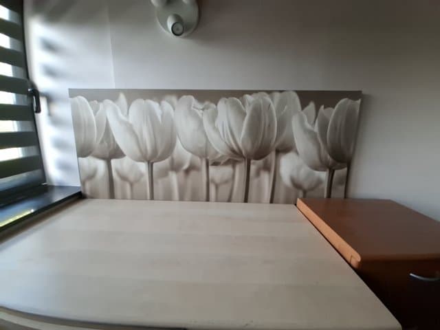 FOTODOEK