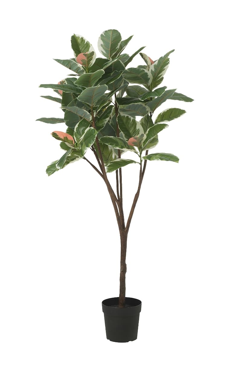 FEJKA artificial potted plant, in/outdoor Weeping fig, 21 cm