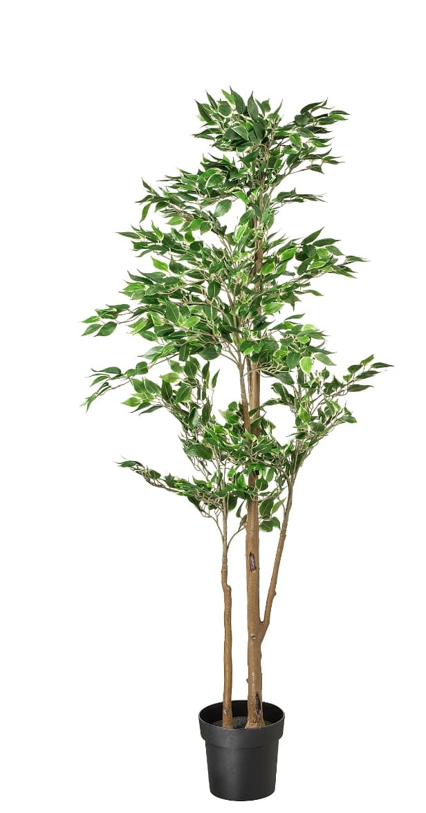 FEJKA artificial potted plant, in/outdoor Weeping fig, 21 cm