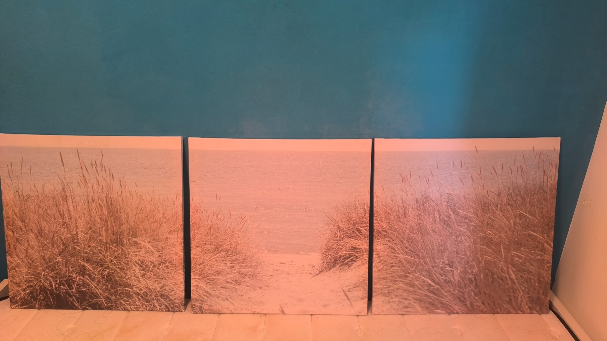 PJÄTTERYD quadre, dunes de Suècia, 56x56 cm