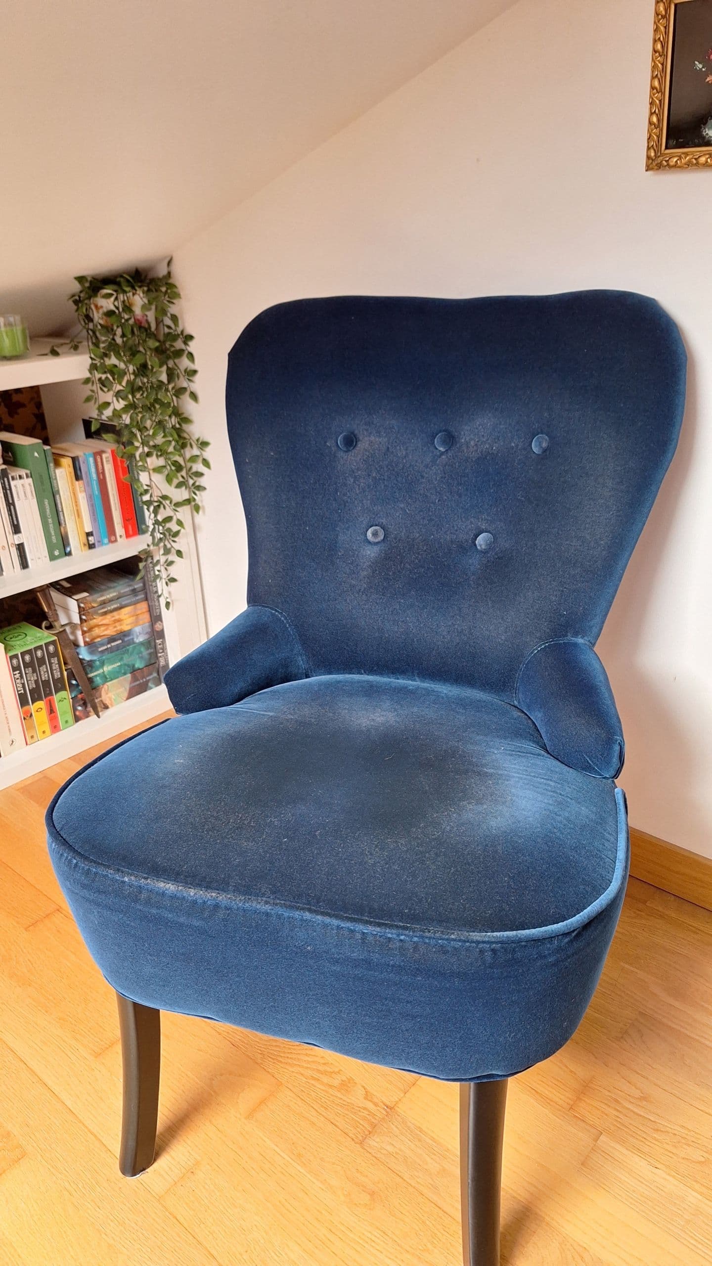 REMSTA armchair, Hakebo dark grey