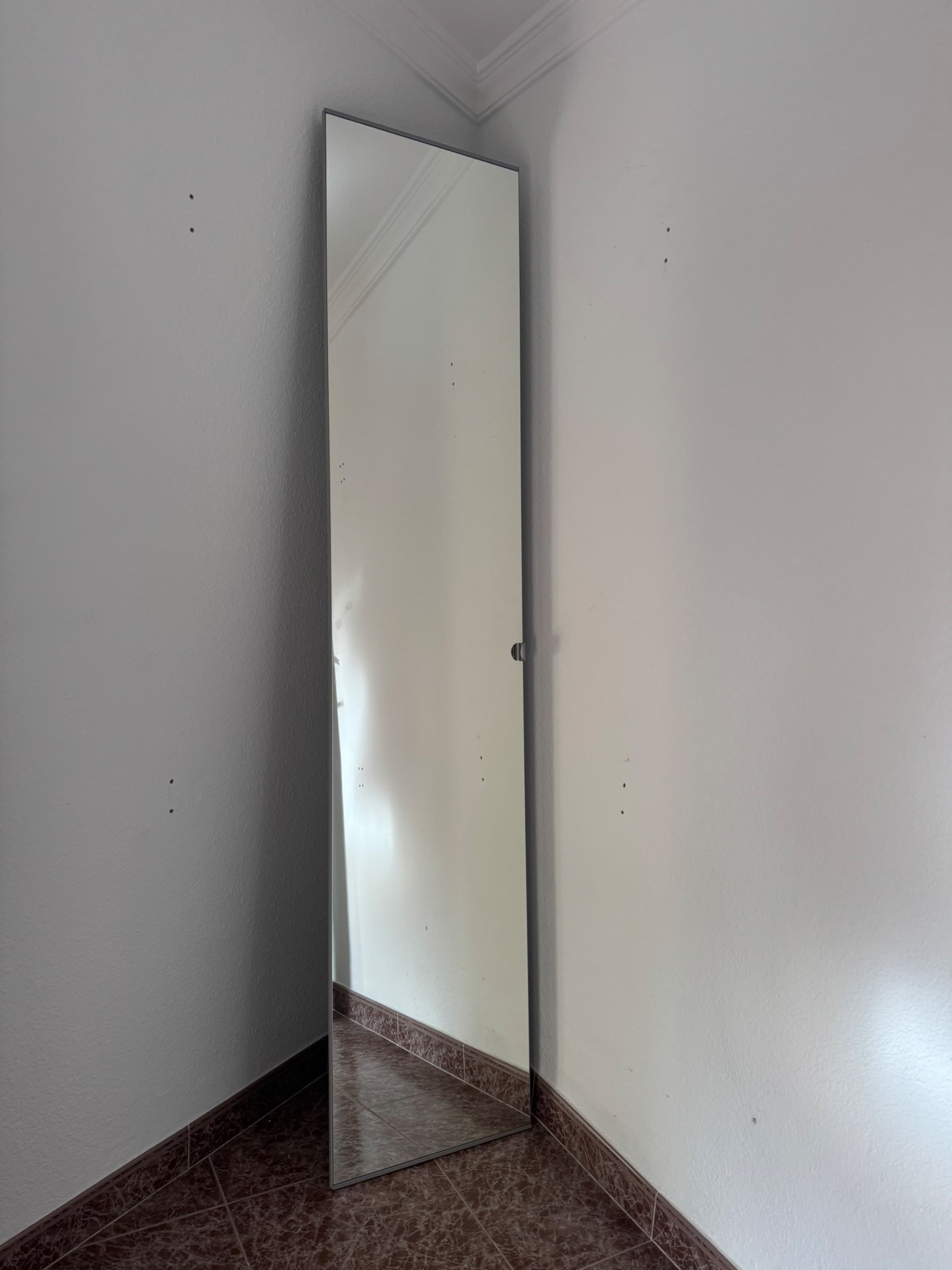 ÅHEIM porta con bisagras, espello, 50x229 cm