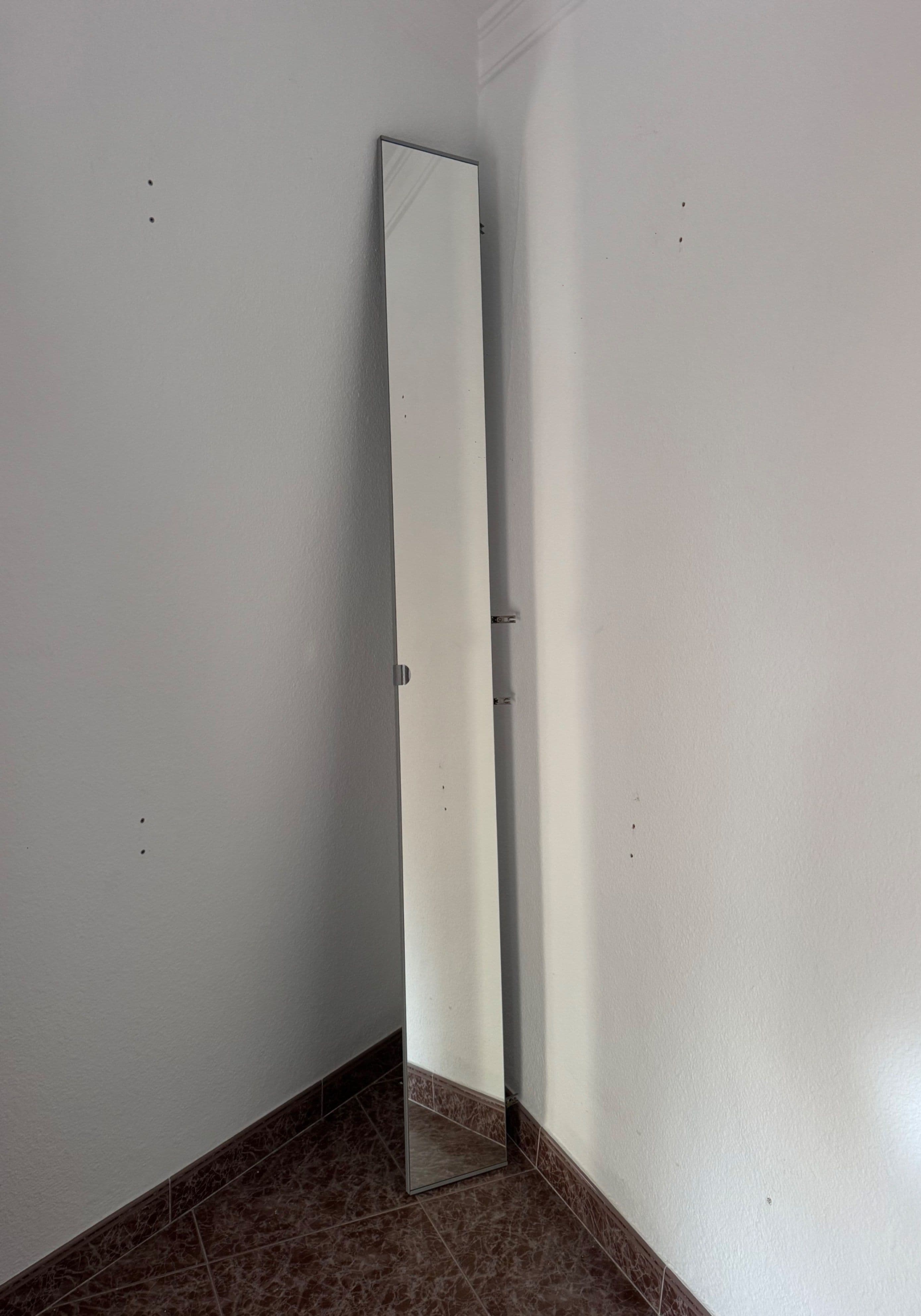 ÅHEIM porta amb frontisses, mirall, 25x229 cm