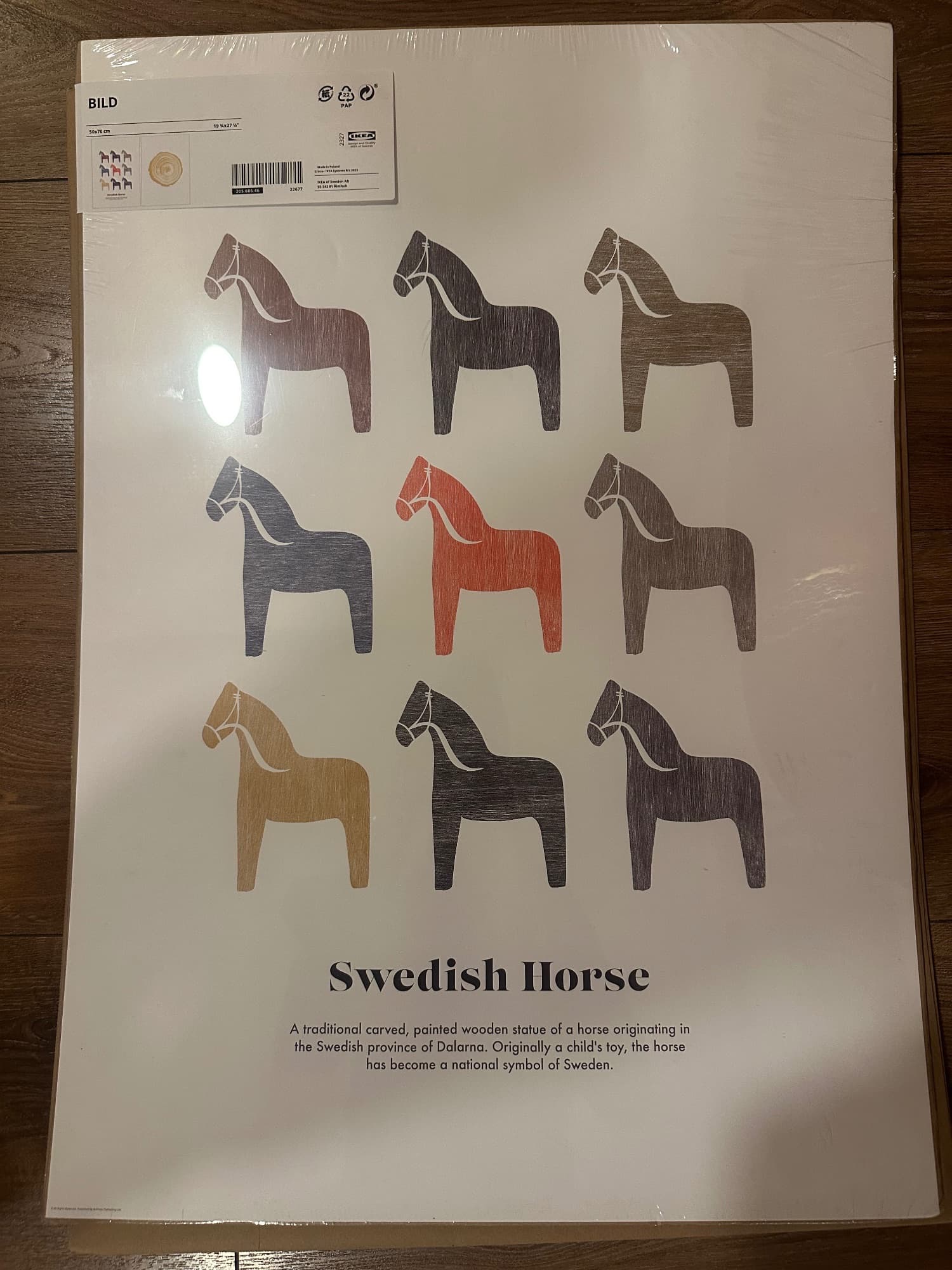 BILD NUEVO irudia, Suediako zaldiak
