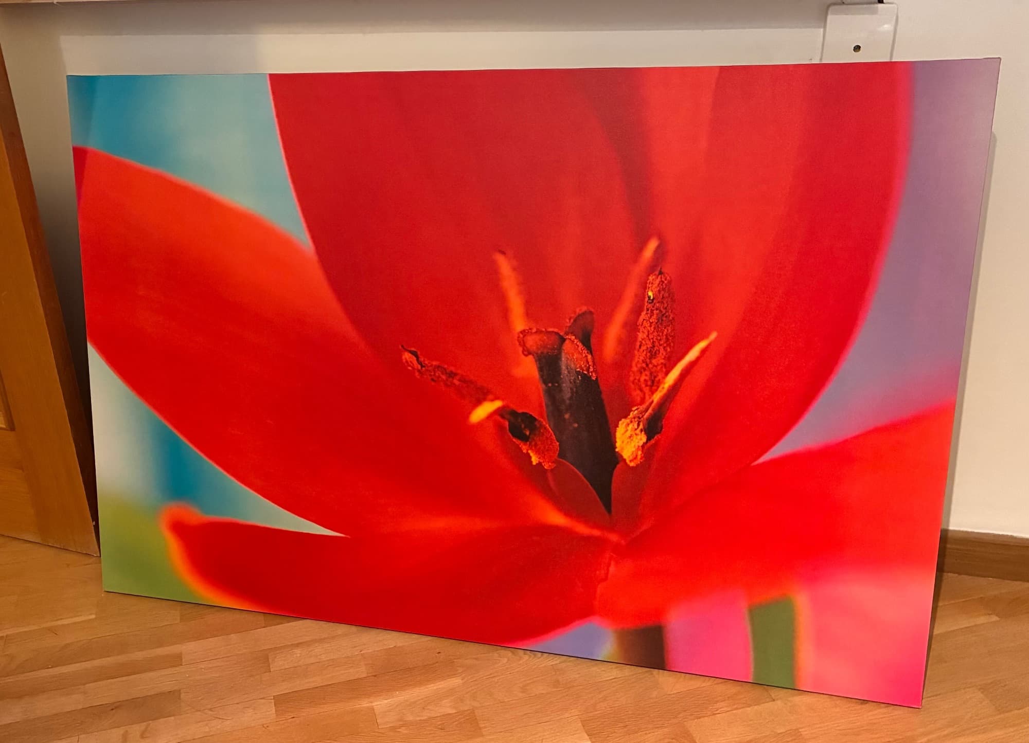 FLOR ROJA CUADRO