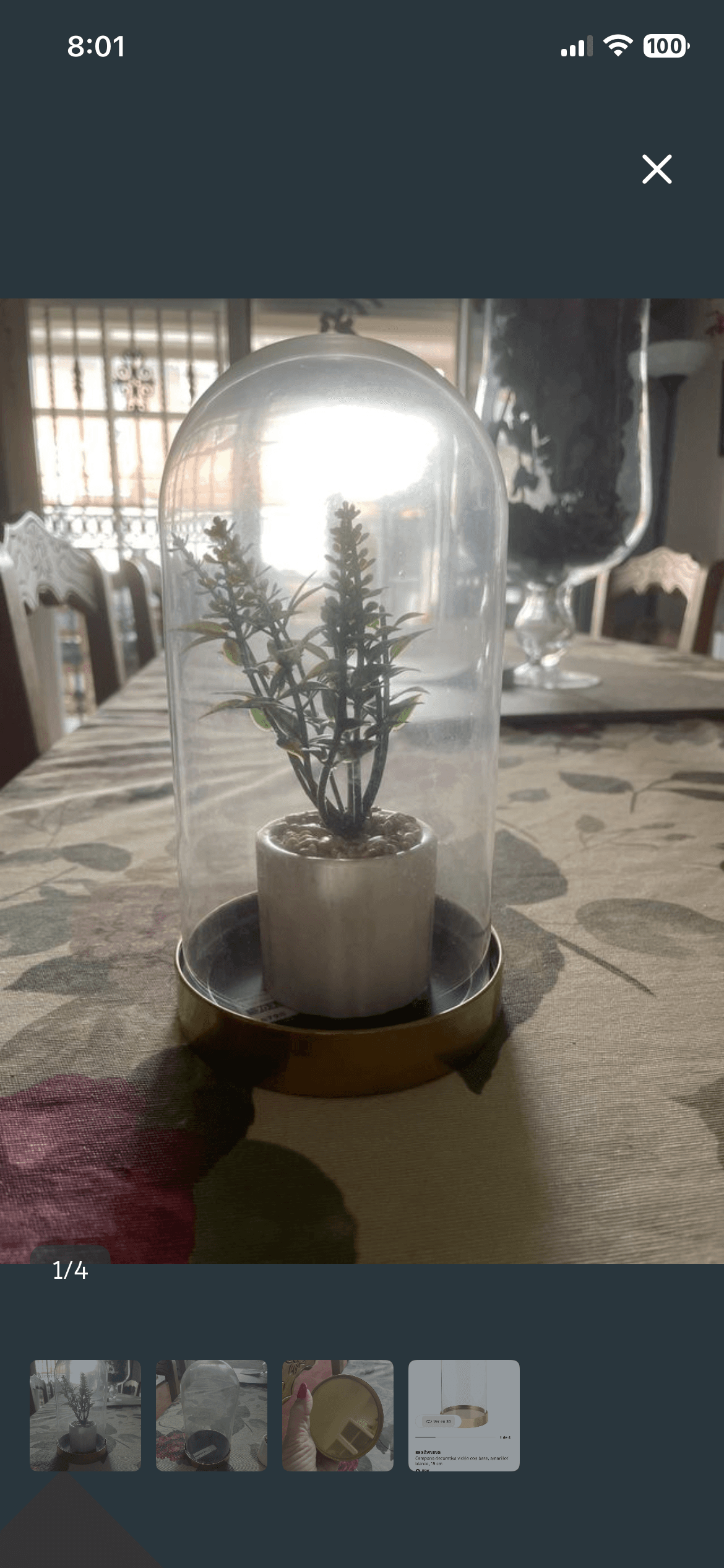 BEGÅVNING campana+base, vidre, 26 cm