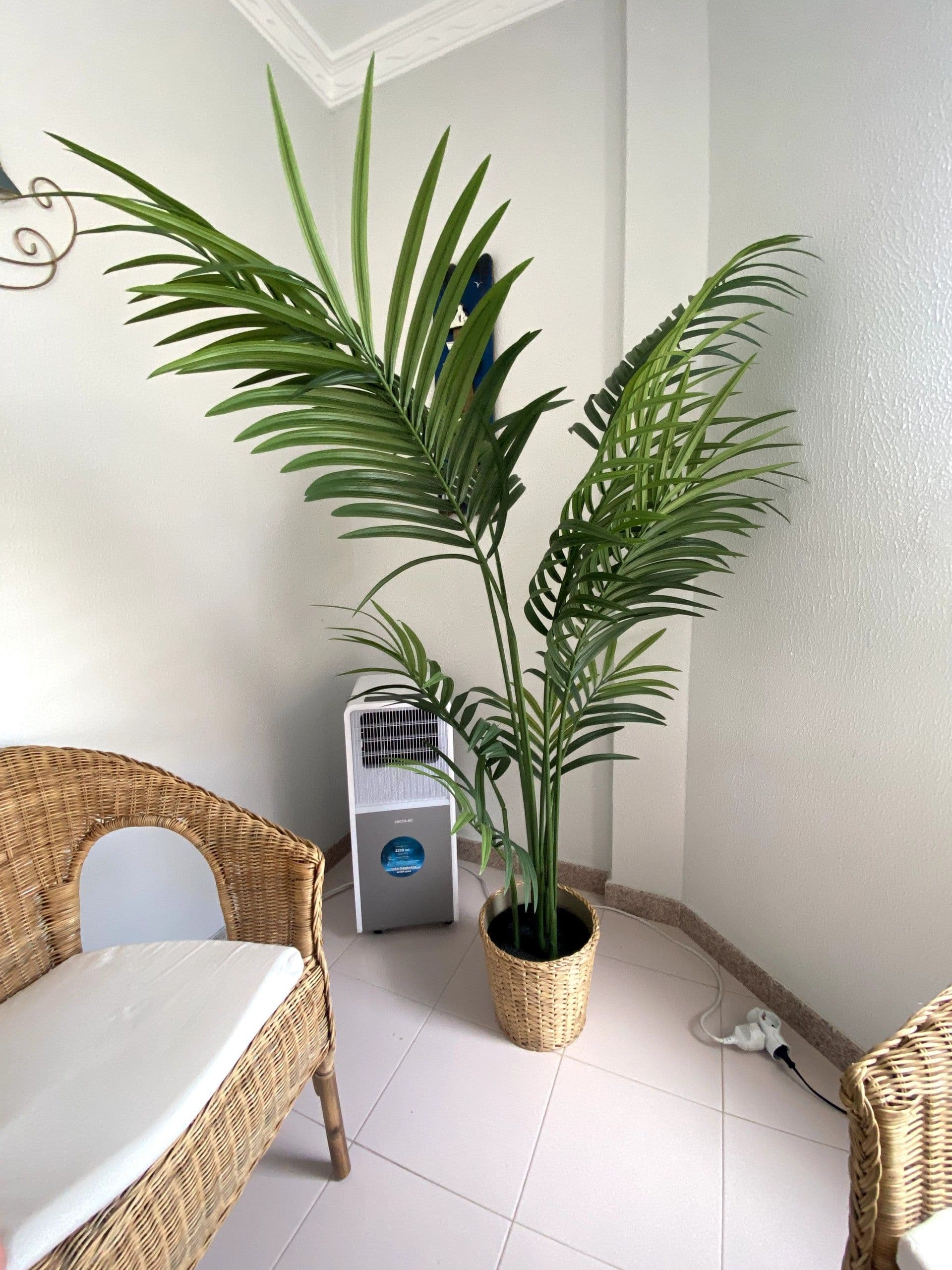 FEJKA planta artificial, interior/exterior/Quèntia, 21 cm