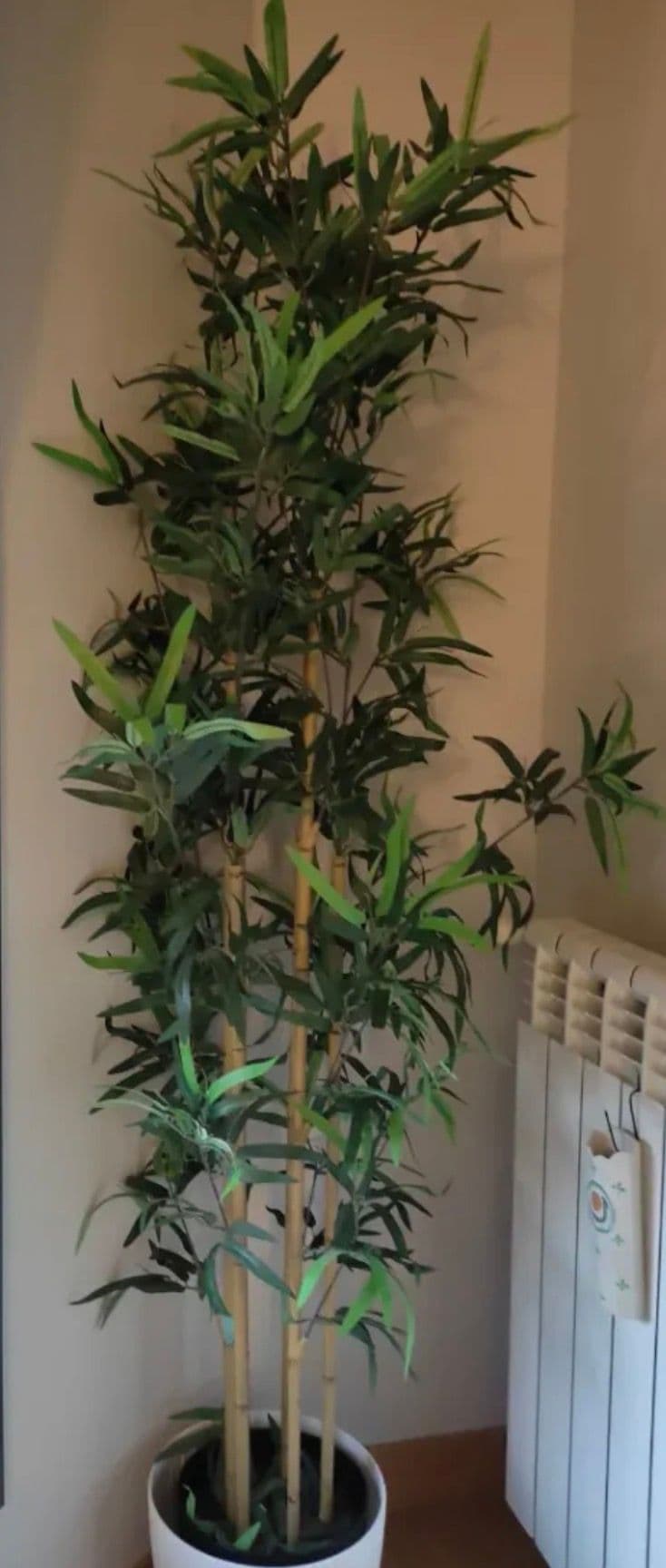 FEJKA planta artificial, interior/exterior/bambú, 21 cm