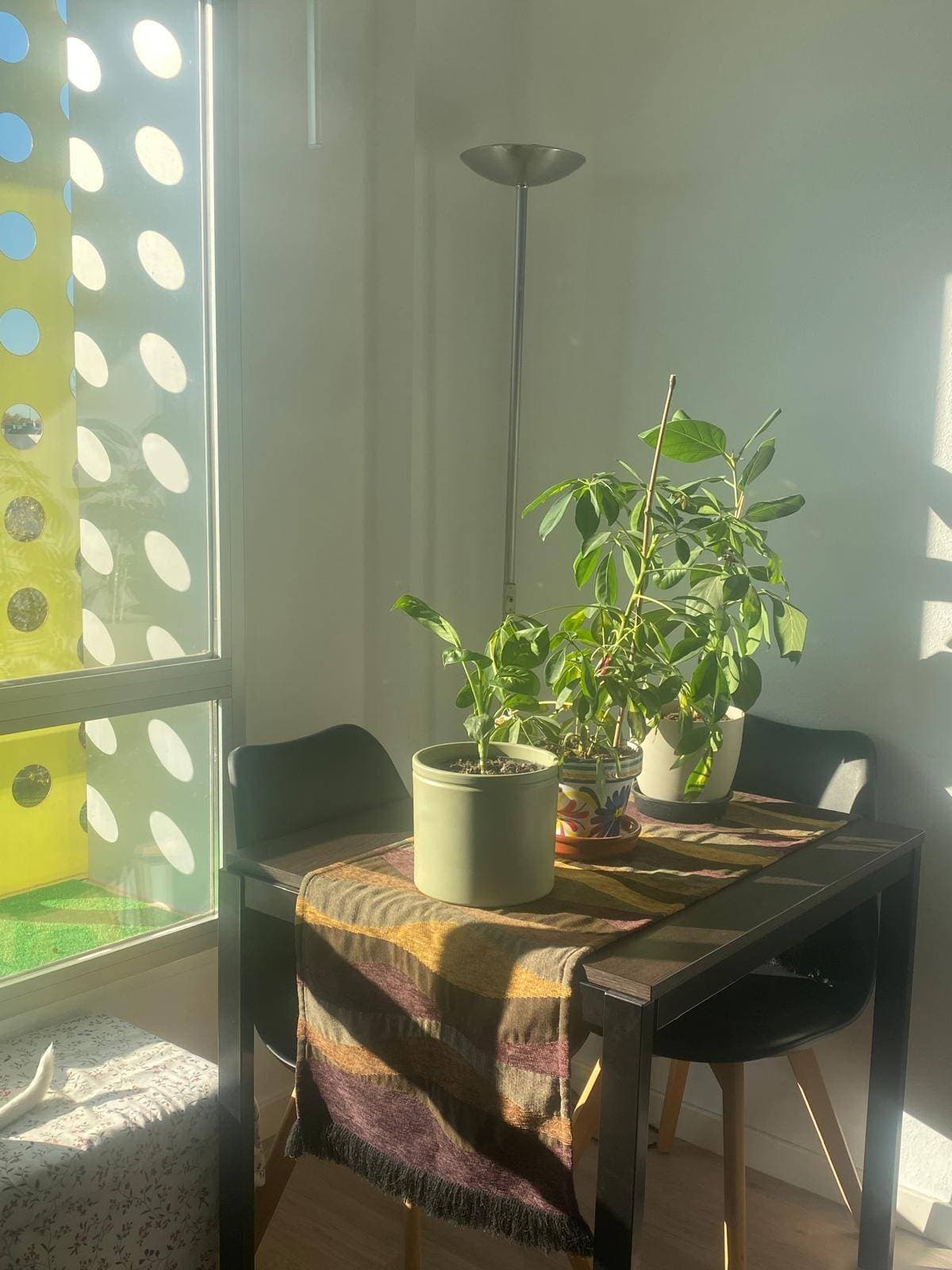 VIHALS mesa extensible, branco, 120/180x74 cm