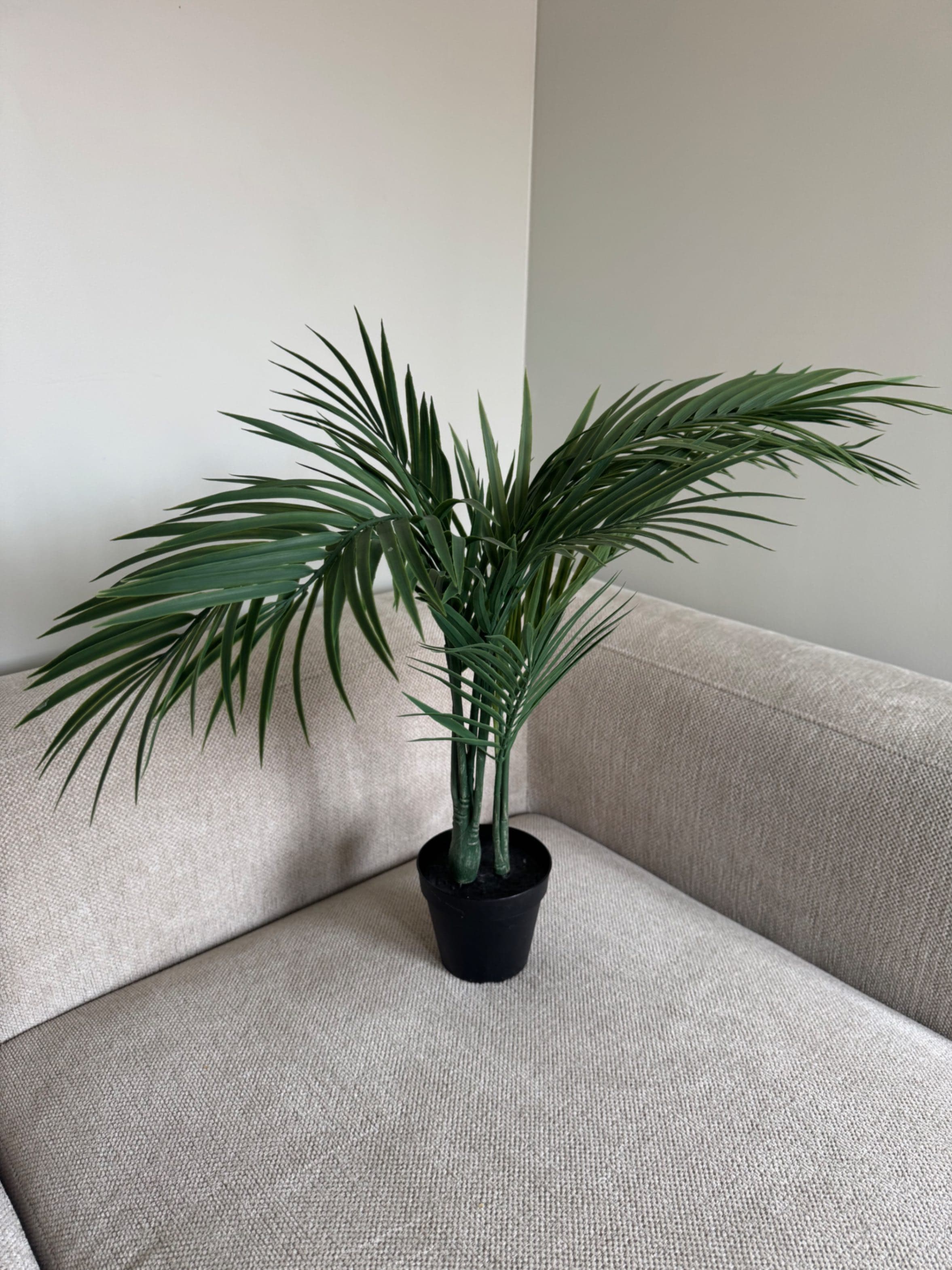 FEJKA artificial potted plant, in/outdoor Areca palm, 12 cm