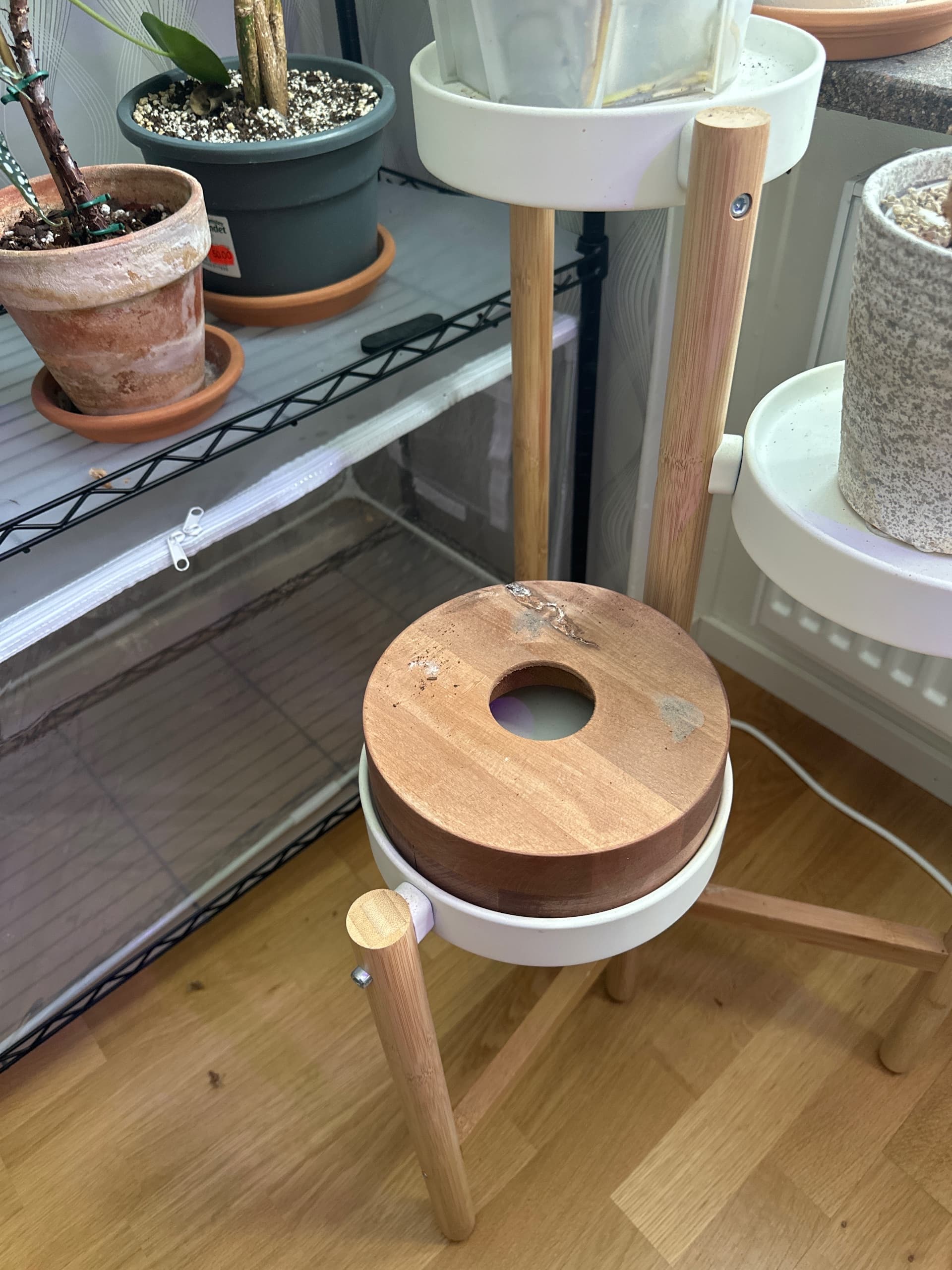 CHIAFRÖN plant pot, in/outdoor white, 12 cm