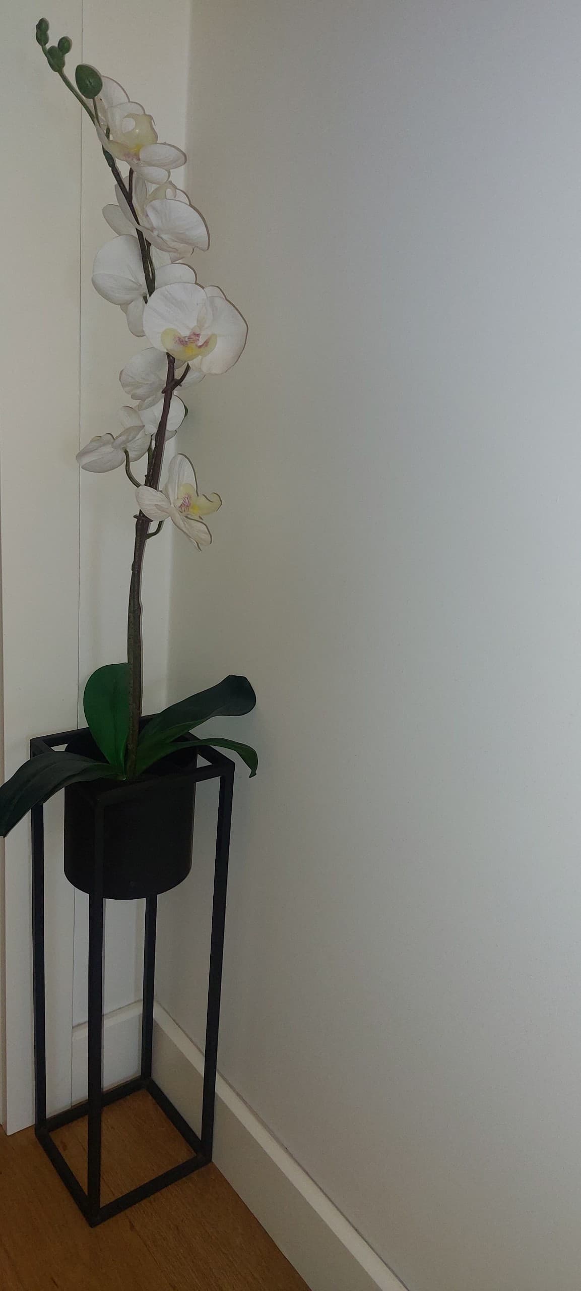 FEJKA sztuczna roślina doniczkowa, Orchidea biały, 12 cm