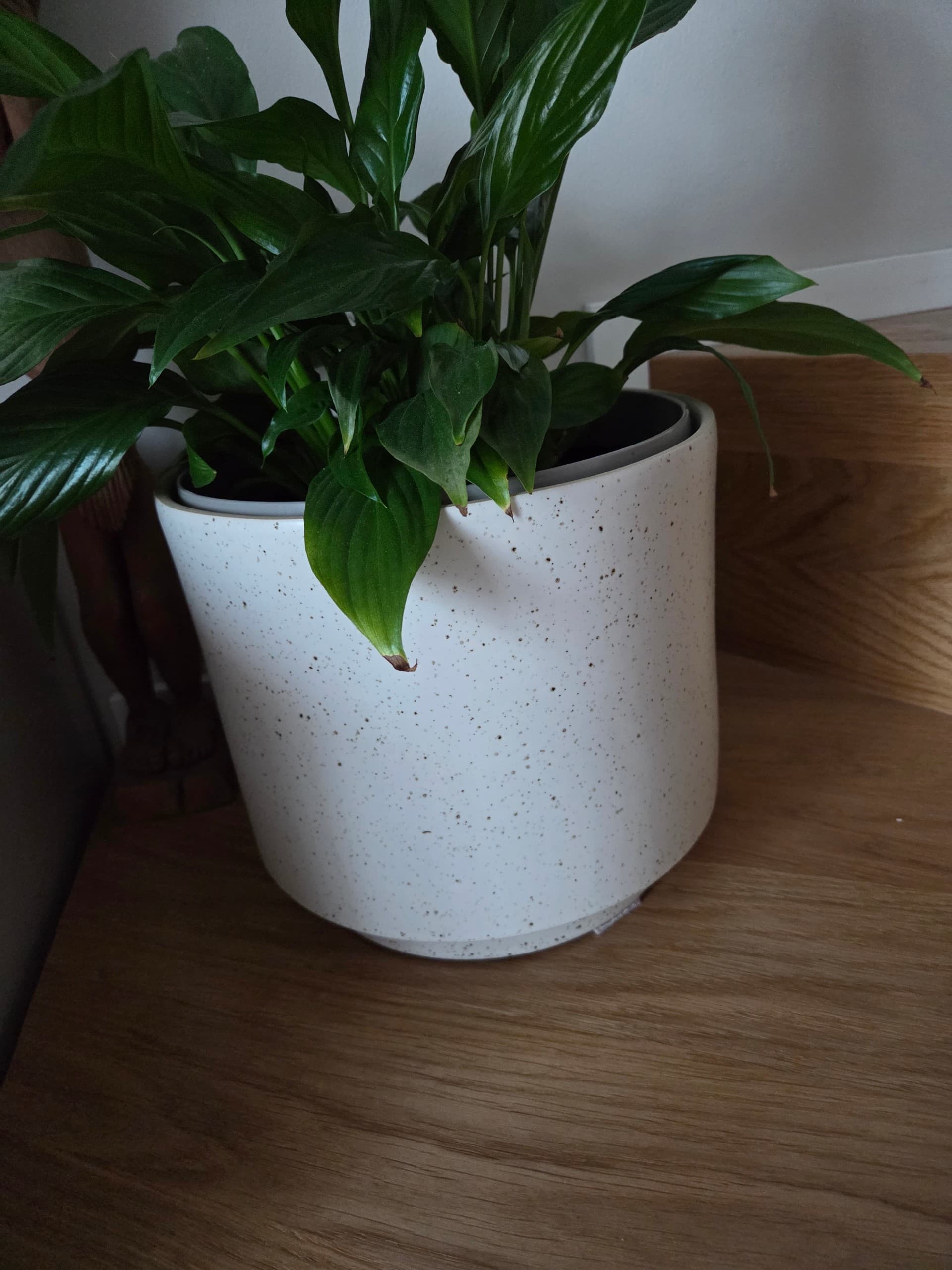 SANDKÖRSBÄR Osłonka doniczki, do wewnątrz/na zewnątrz/beżowy, 12 cm