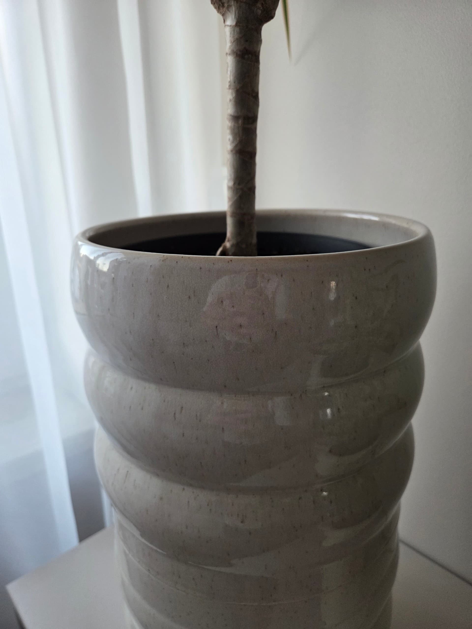 HASSELBUKETT Osłonka doniczki, do wewnątrz/na zewnątrz/beżowy, 19 cm