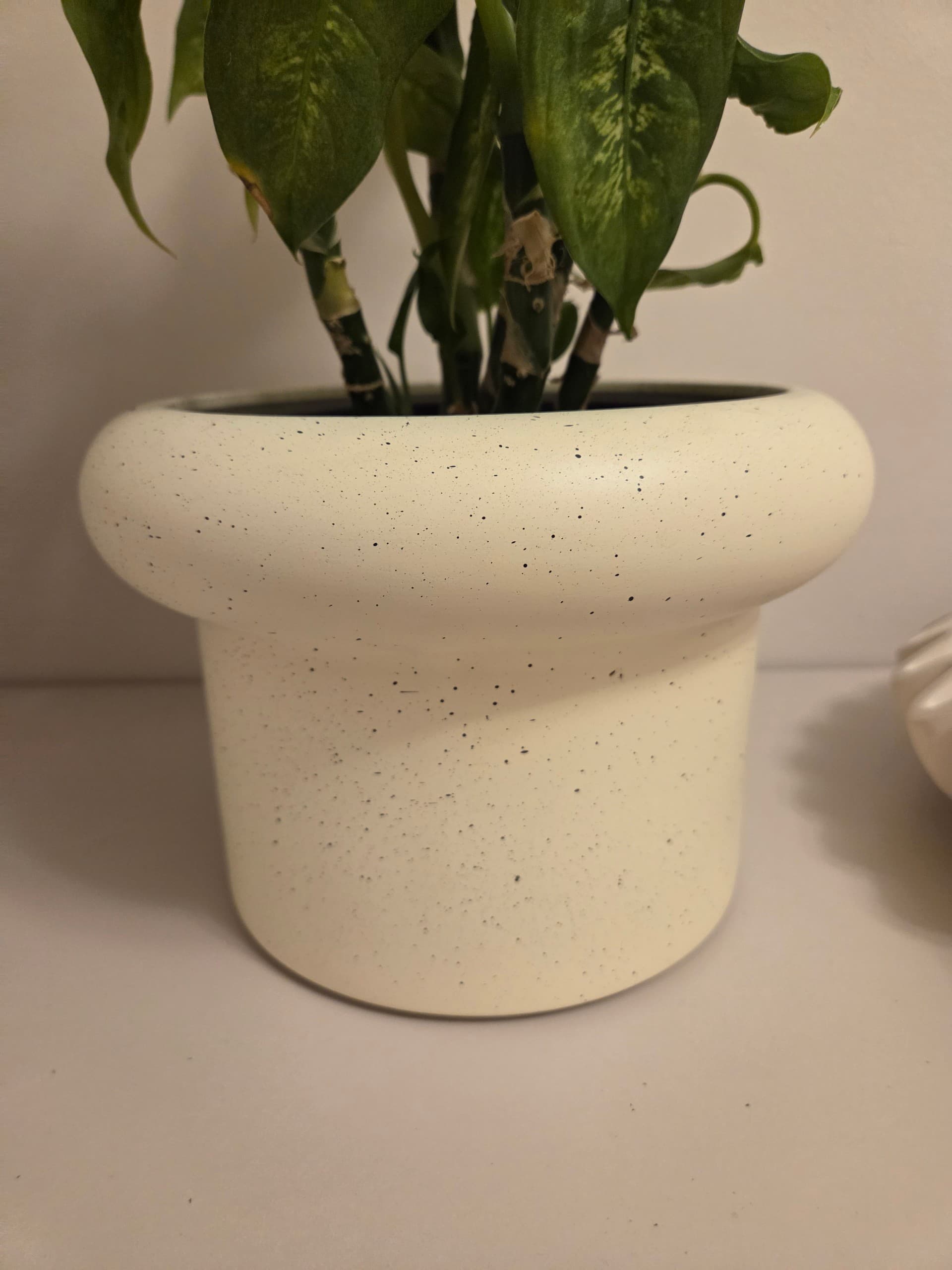 SANDKÖRSBÄR Osłonka doniczki, do wewnątrz/na zewnątrz/beżowy, 12 cm
