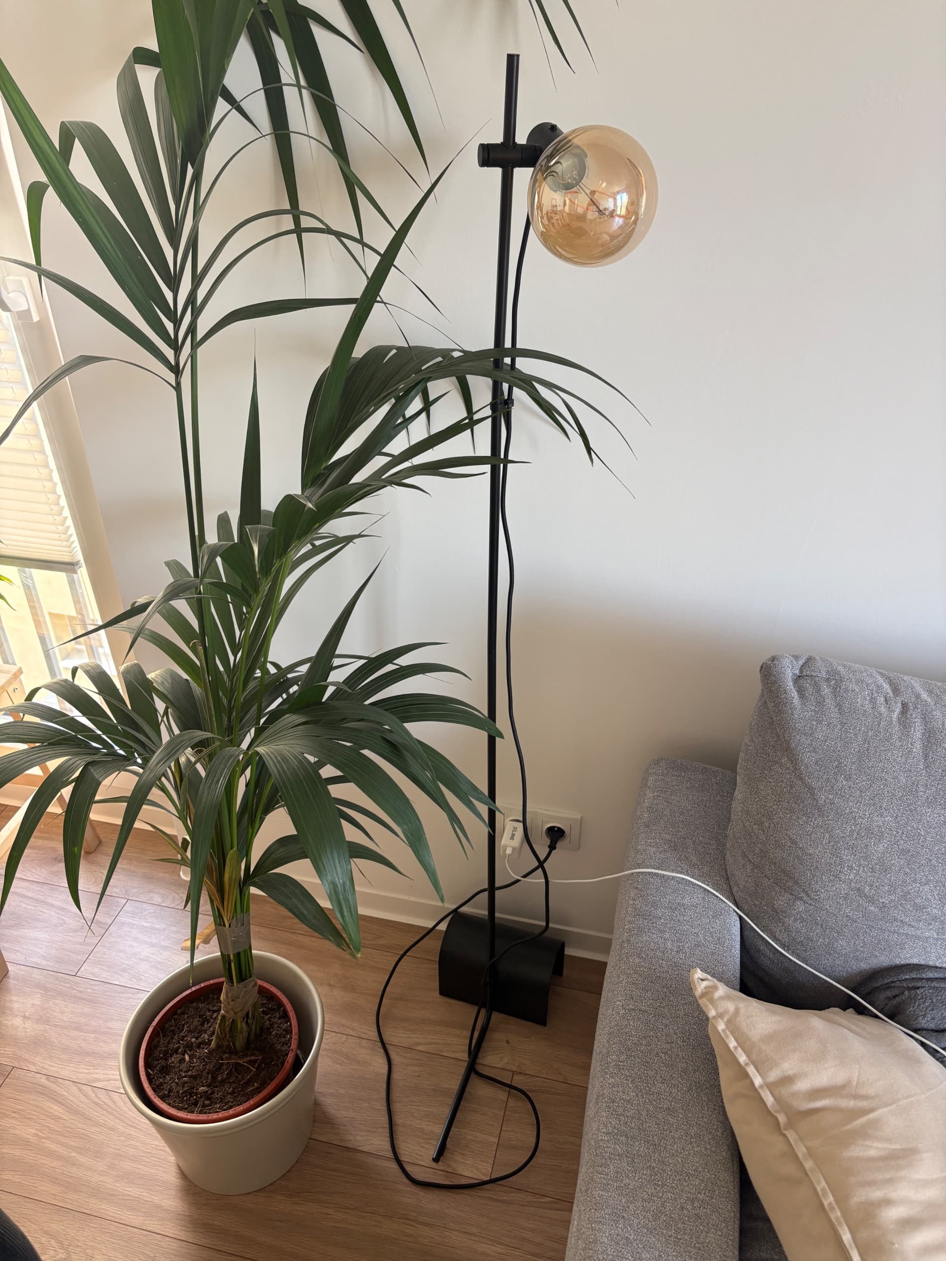 HÅRSLINGA / MOLNART lampa podłogowa z żarówką, czarny/w kształcie pierścienia opalowa biel