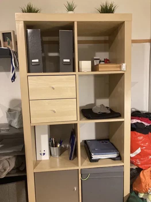KALLAX GAVETAS+PORTA shelving unit, birch effect