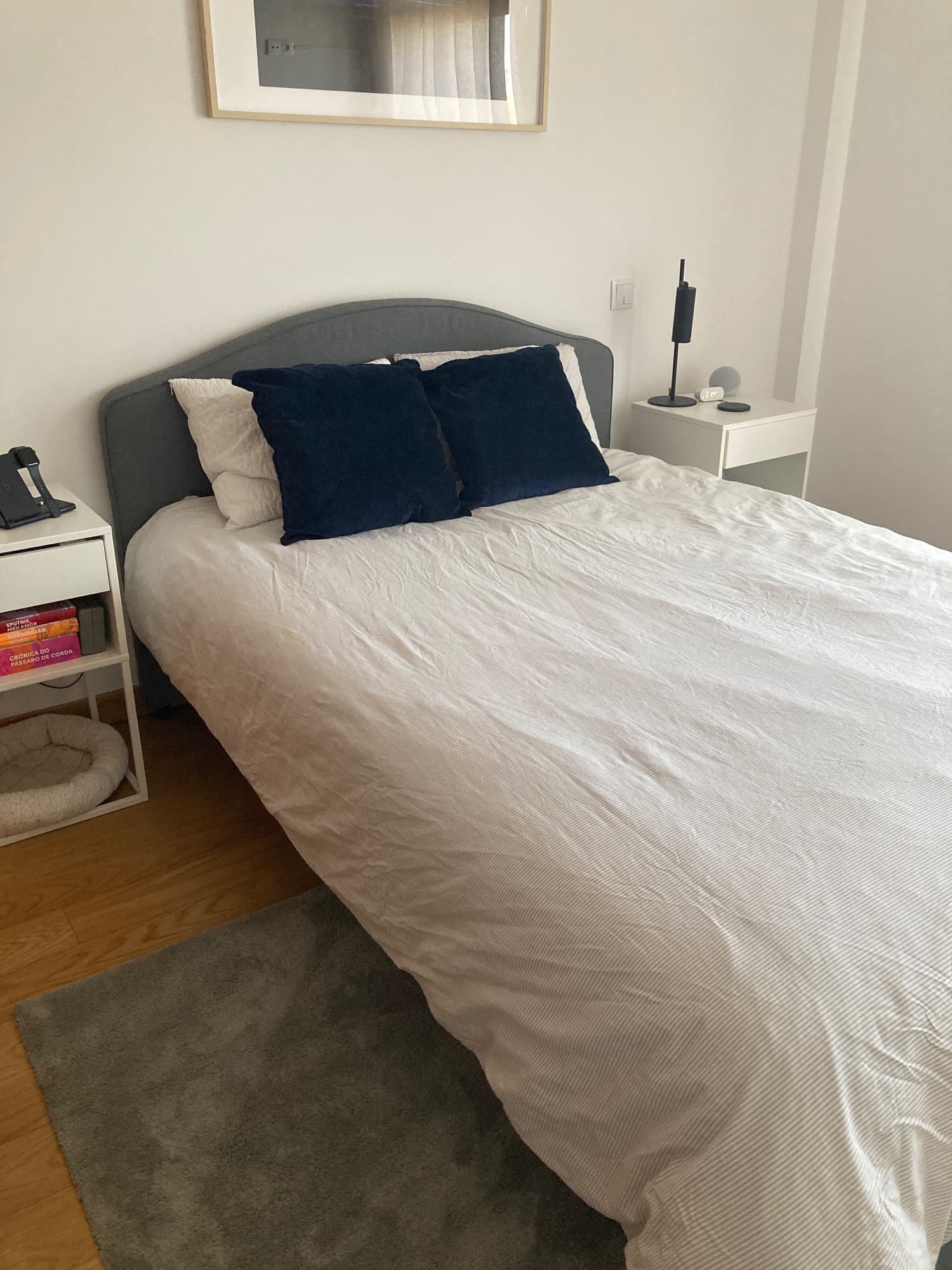 HAUGA upholstered bed frame, Vissle grey