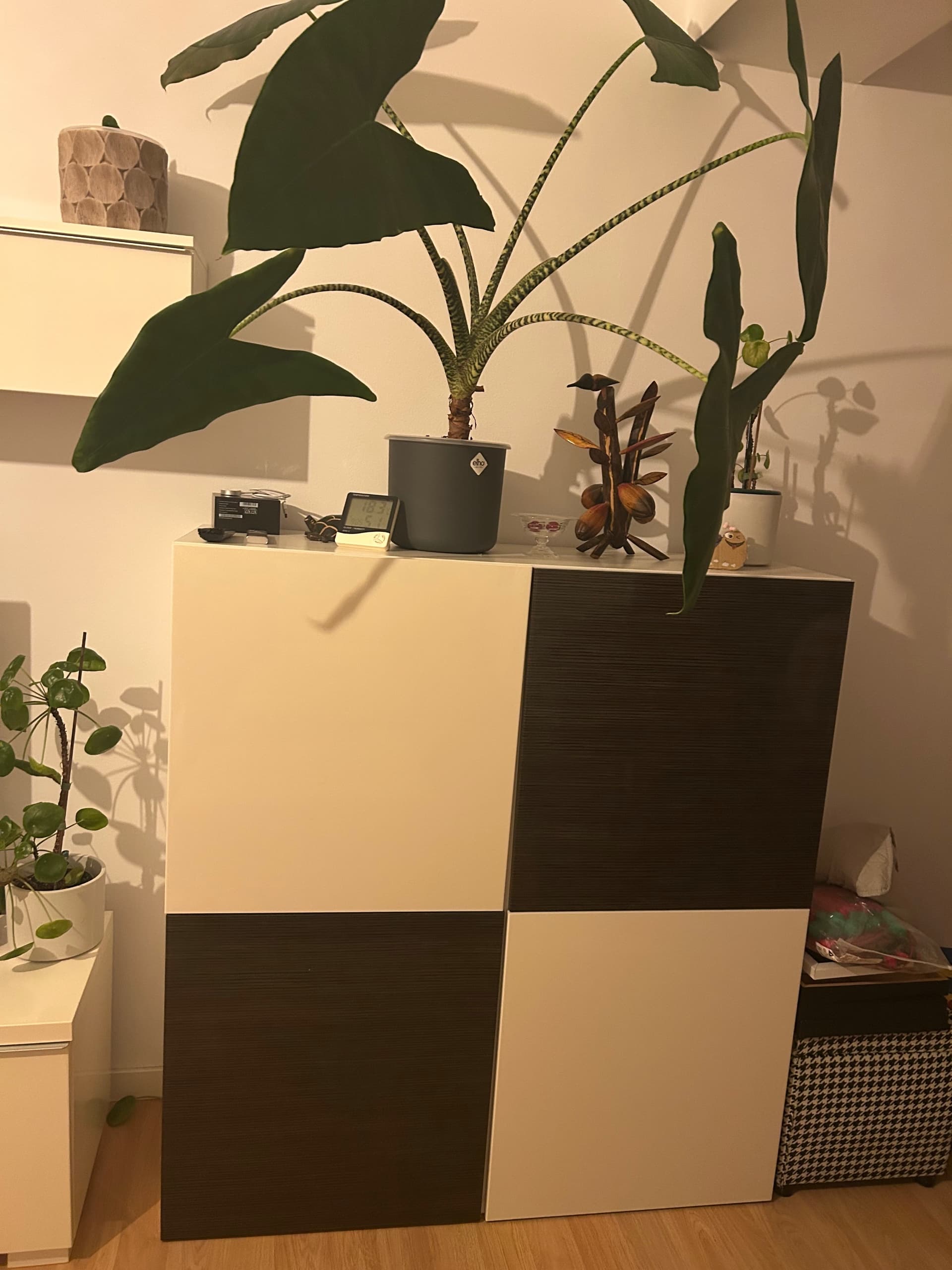 BESTÅ wall-mounted cabinet combination, white/Lappviken white, 120x42x64 cm
