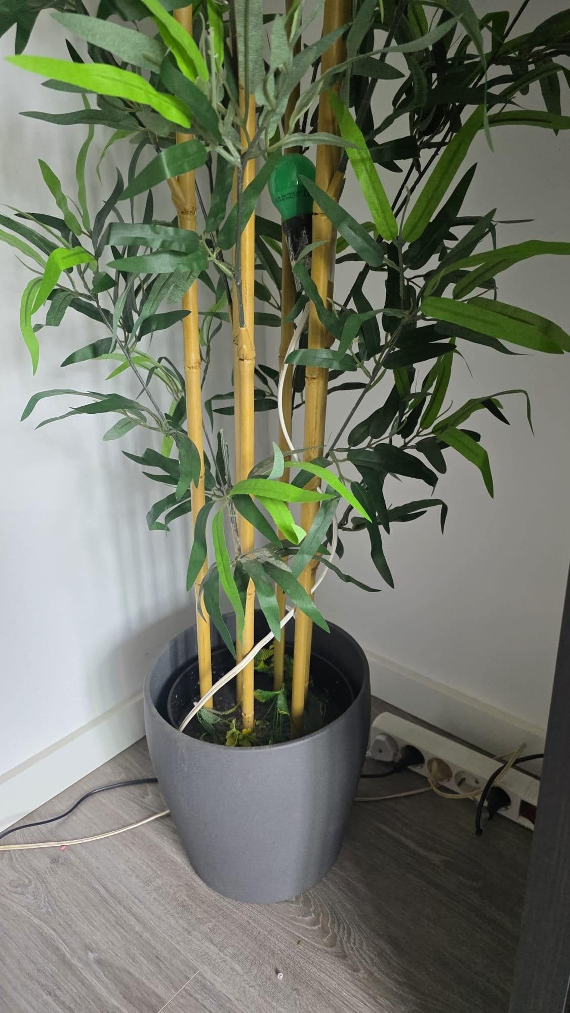 FEJKA artificial potted plant, in/outdoor/bamboo, 21 cm
