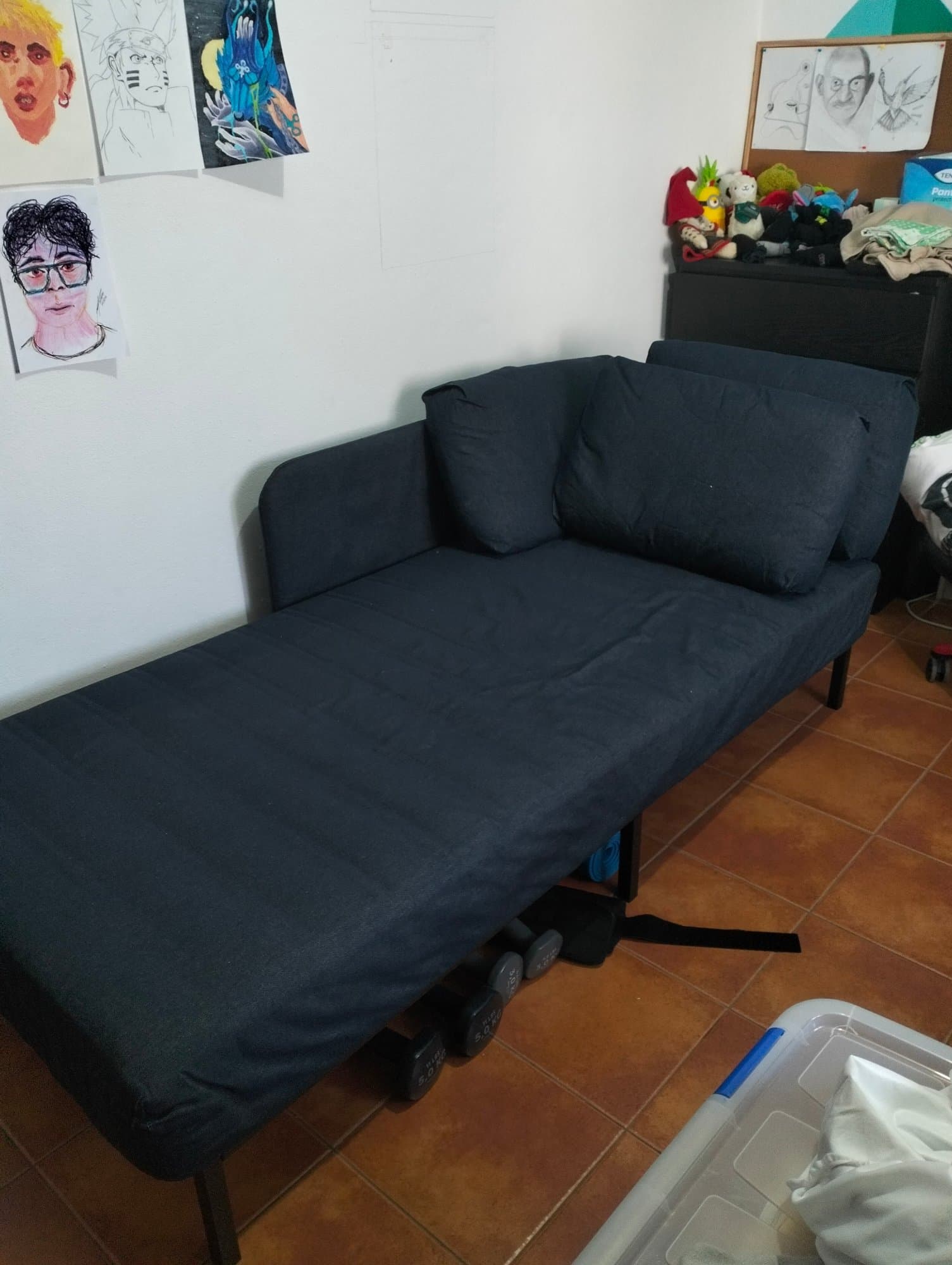 RÅVAROR day-bed with 1 mattress