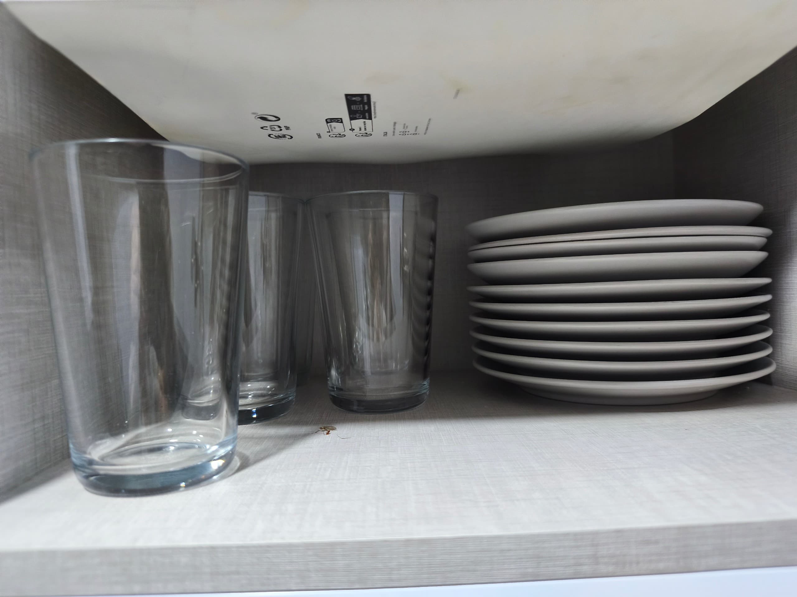 FÄRGKLAR 18-piece service, matt light grey