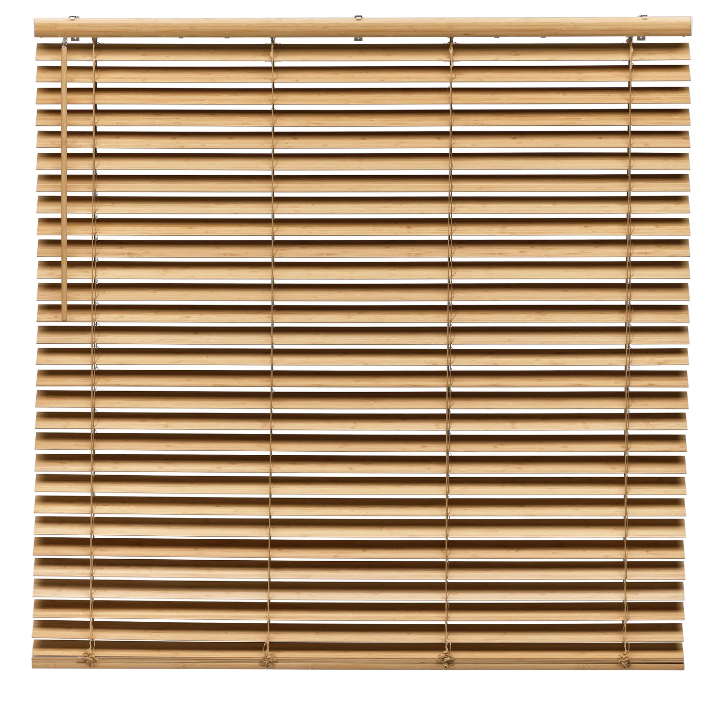 Cortines i estors